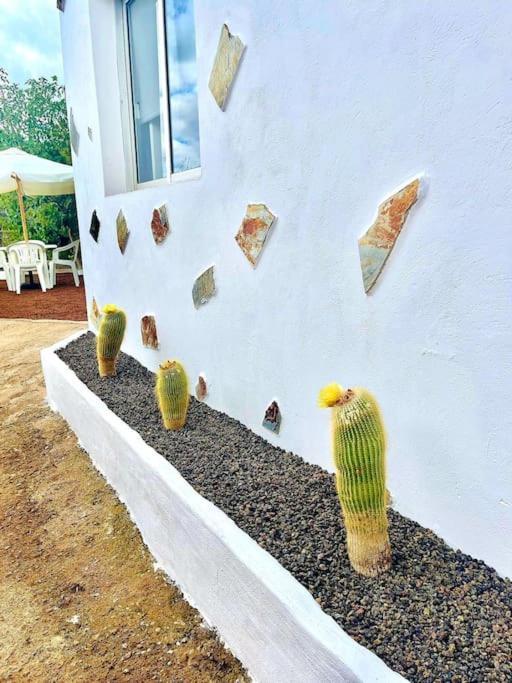 El Paraiso Escondido Санта-Крус-де-Тенерифе Экстерьер фото